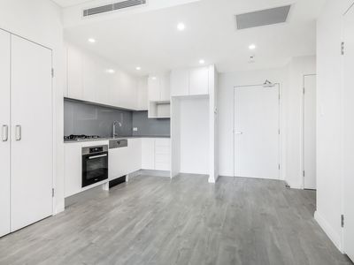 302 / 5 Bidijigal Road, Arncliffe