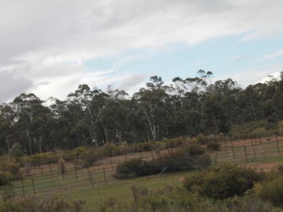 Lot 1  Tait Hamilton Road, Gobarup
