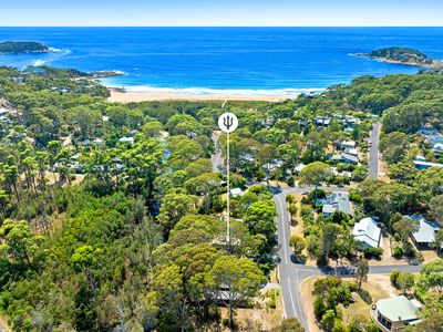 10 Rosedale Parade, Rosedale