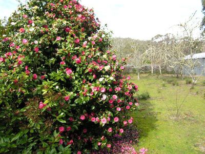 91 Lowes Road, Garden Island Creek