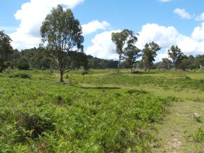 Red Hill Road, Stannum