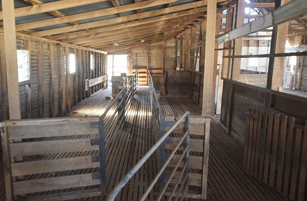 gallery