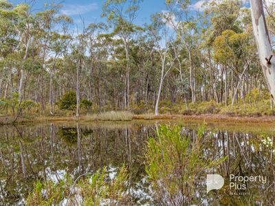 5936 Muckleford-Castlemaine Road, Muckleford