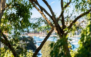 24 / 33 Waratah Street, Rushcutters Bay