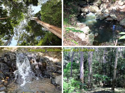 10 / 924 Blue Knob Rd, Nimbin