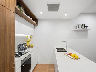 307 / 71 Euston Road, Alexandria