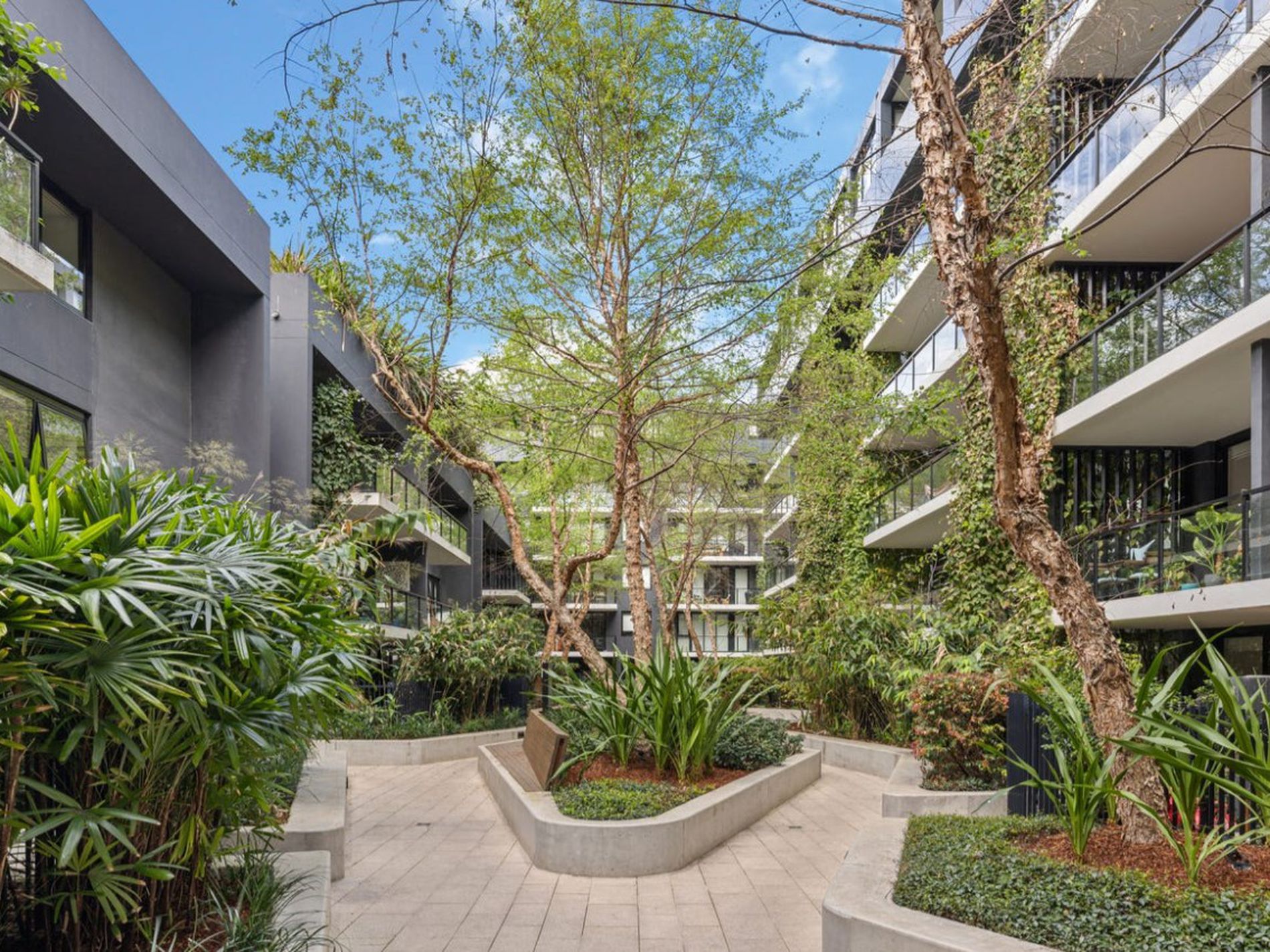 72 Macdonald Street, Erskineville