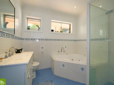 Mount Warrigal