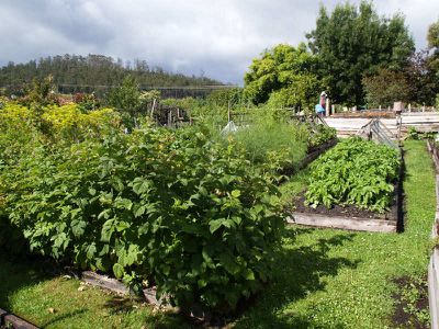 153 Police Point Road, Glendevie