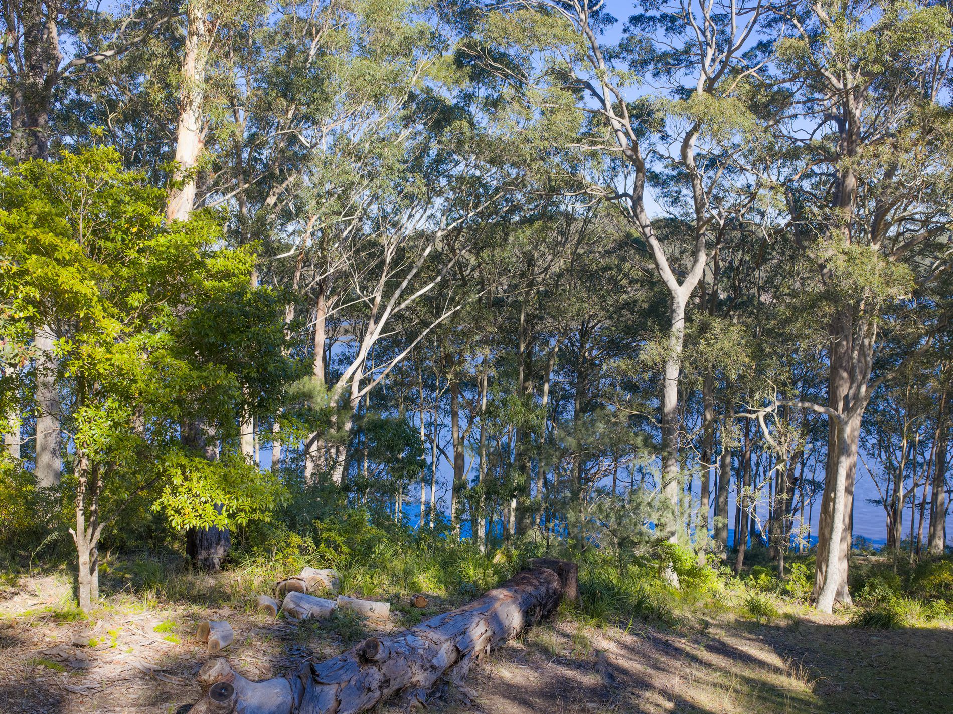 8 William Street, Kings Point