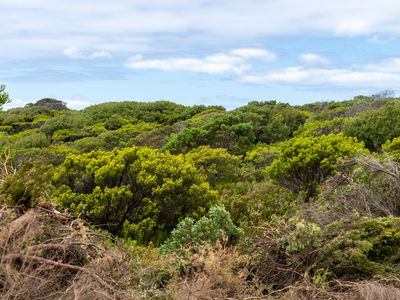 Lot 3 Phoques Bay Road, Egg Lagoon