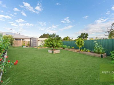 87 Valerie Lane, Deeragun