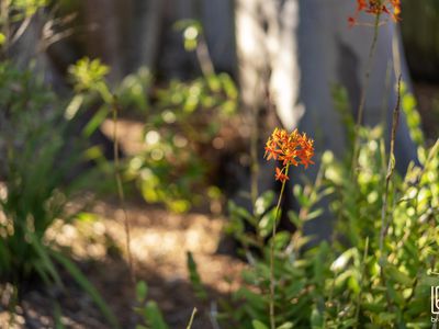 86 Panorama Avenue, Charmhaven