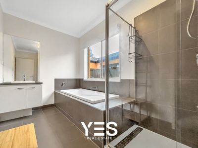 49 Springleaf Avenue, Clyde North