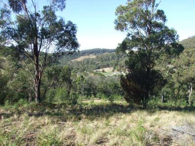LOT / 492 Mt. Darragh Road, Lochiel