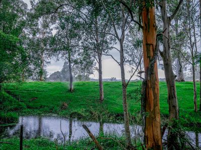 121 Neill Road, Mooloolah Valley
