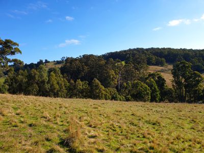 Lot 5 Wallace Road , Cygnet