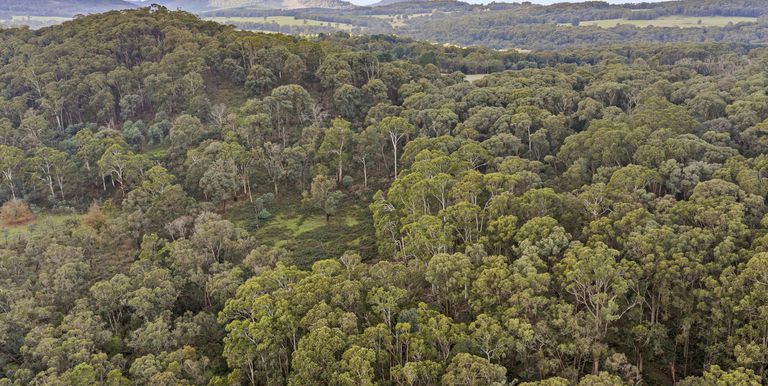 Lot 1 & 2 McCombes Road, Creek Junction