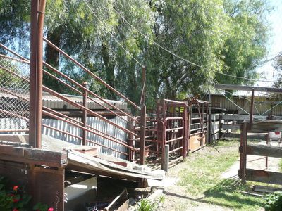 52 Grigg Road, Koondrook