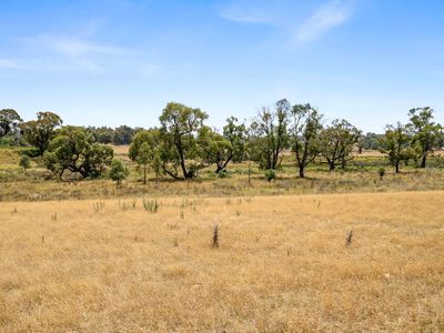 171 Boongarra Road, Laggan via, Crookwell