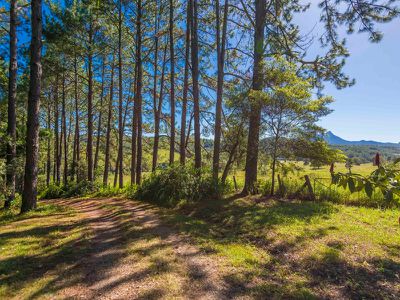 3425 Kyogle Road, Mount Burrell