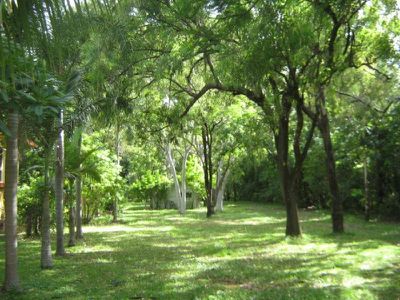 154 Endeavour Valley Road, Cooktown