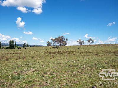 387 Shannon Vale Road, Shannon Vale