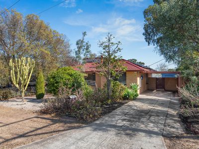 18 Payne Street, Hope Valley