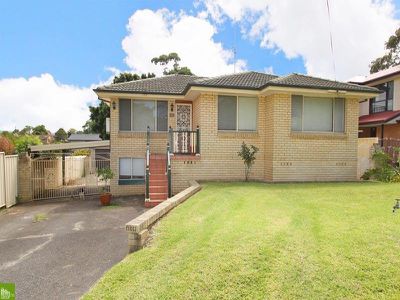 Mount Warrigal