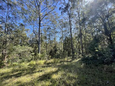 Lot 37, 1157 Stony Chute Road, Wadeville
