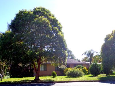 24 Coral Crescent, Dubbo