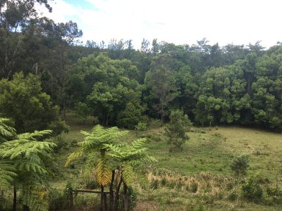 2 / 5 Hensen Road, Nimbin