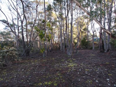 Lot 1, 466 Abels Bay Road, Abels Bay