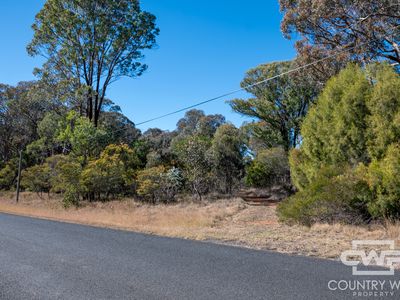 Lot 1, 222 Strathbogie Road, Emmaville