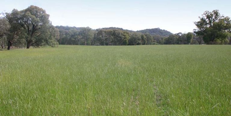 Strathbogie