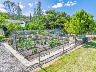 1650 Nethercote Road, Pambula