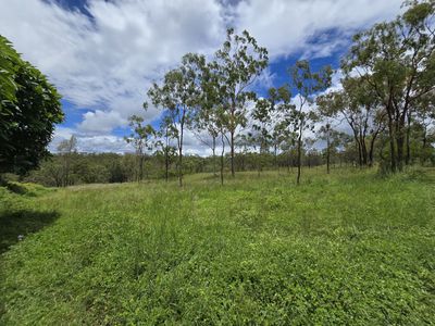 Mount Garnet