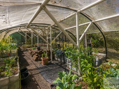 10 / 924 Blue Knob Rd, Nimbin