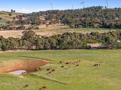 3074 Range Road, Bannister via, Goulburn