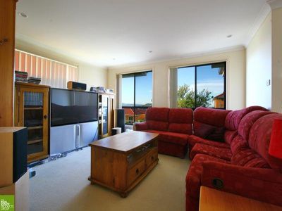 Blackbutt