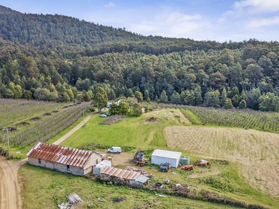50 Cairns Road, Surges Bay