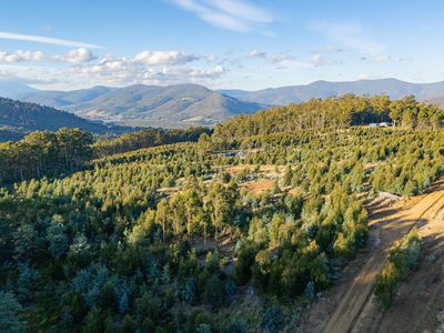 off Paddys Lane , Franklin