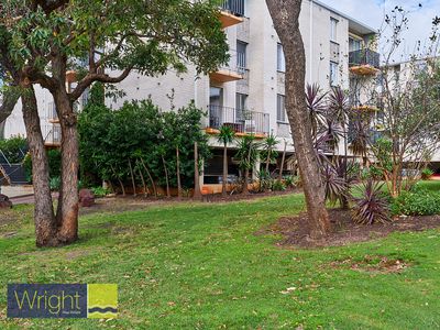 38 / 156 Whatley Crescent, Maylands