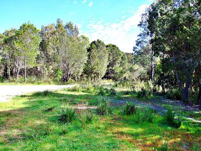 5005 Bridport Highway, Pipers River