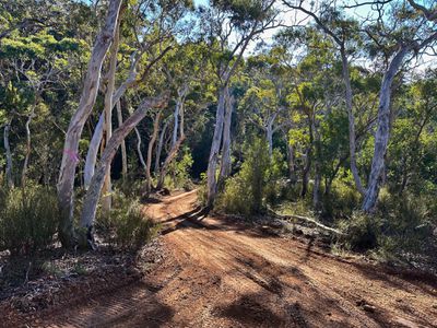 14 Ningee Nimbell Creek Road, Braidwood