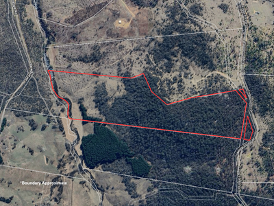 Lot 208 Foggy Forest Drive, Anembo