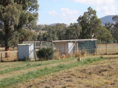 783 Howes Creek Road, Mansfield