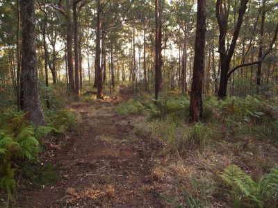 301 Harpers Creek Road, Conondale