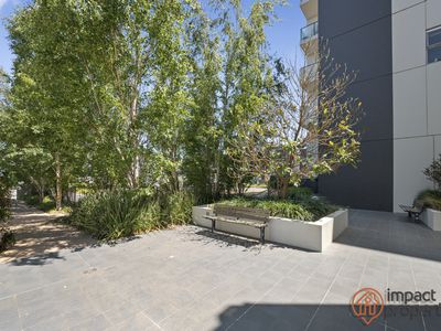 81 / 235 Flemington Road, Franklin