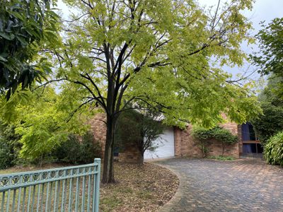 10 Leonard Street, Deepdene